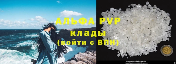 PSILOCYBIN Навашино