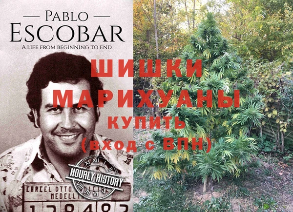 PSILOCYBIN Навашино