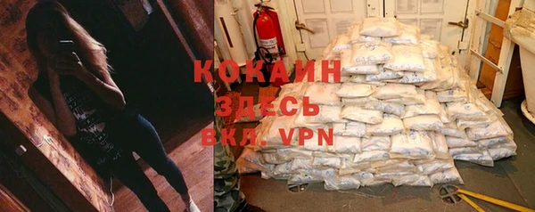 PSILOCYBIN Навашино