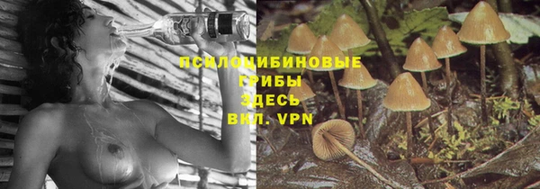 PSILOCYBIN Навашино