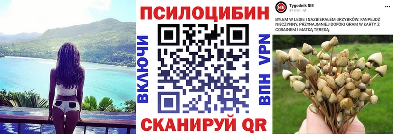 Галлюциногенные грибы мицелий Власиха