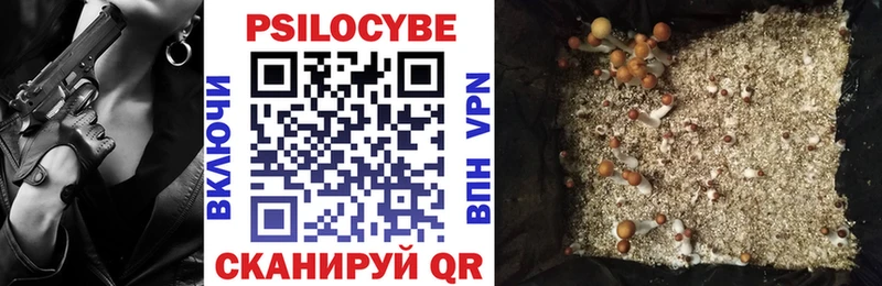 Псилоцибиновые грибы GOLDEN TEACHER маркетплейс как зайти Власиха наркота